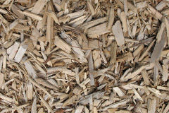 biomass boilers Colva