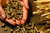 free Colva biomass boiler quotes