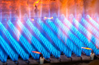 Colva gas fired boilers