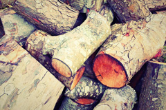 Colva wood burning boiler costs